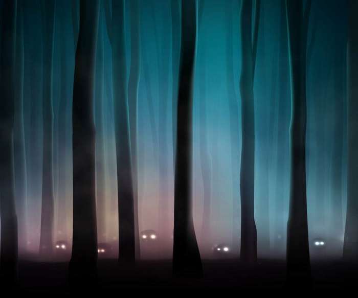 暗黑时刻来临!乐视网盘前跌停,那些重仓的基金