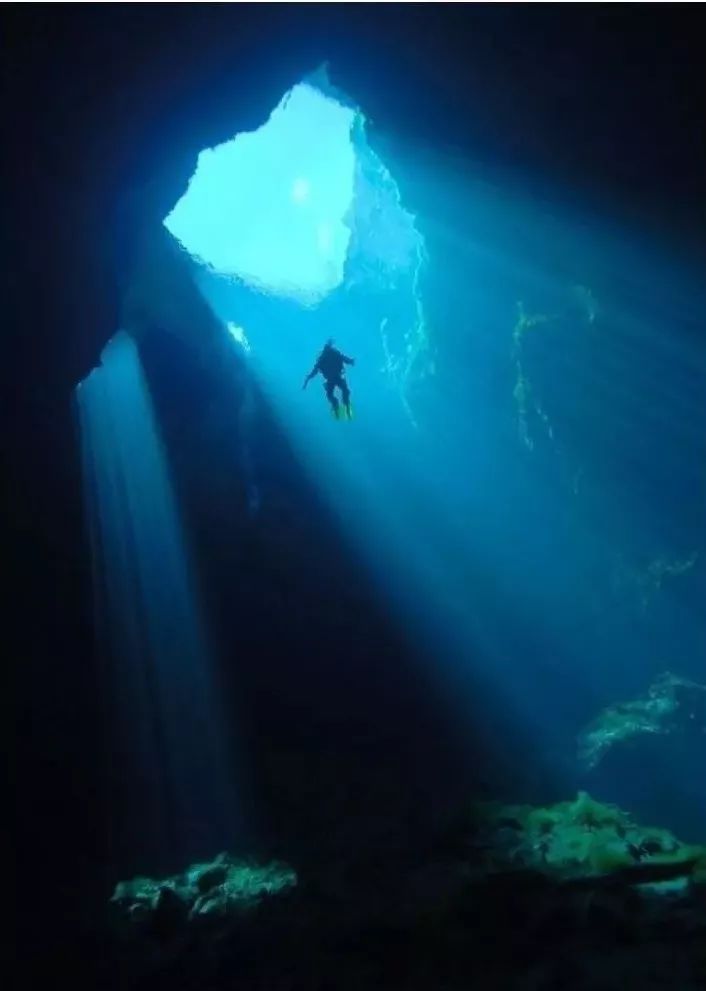 【荐读】21张醒脑图，叫醒你的2018