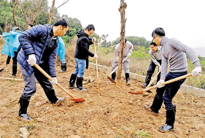 宝安日报讯(记者 龙冠斌 通讯员 韦彩丽/文 记者 卢正辉 通讯员