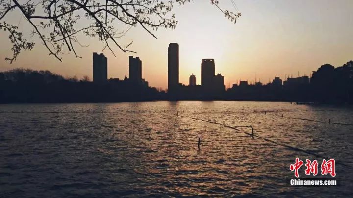 没有谁天生一副铠甲,是岁月让你无坚不摧|达达