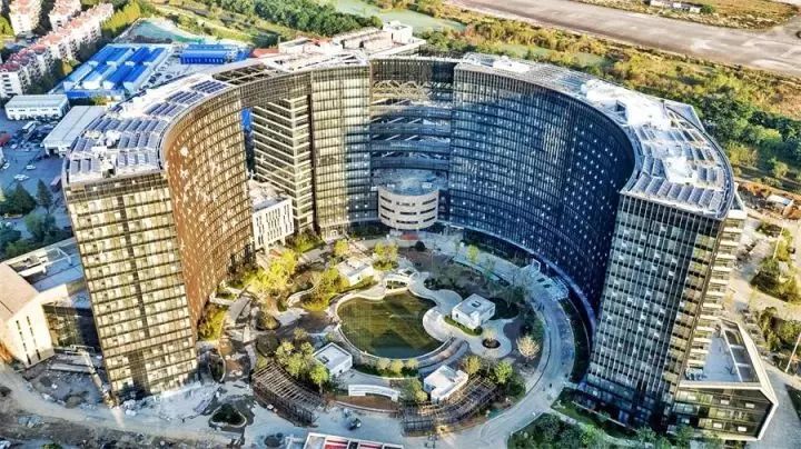 2017年，南京在体育上取得这些好成绩，你都知道吗？