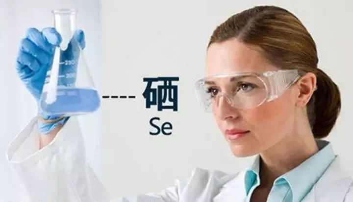 ȻԱγ30ȵسٴ塭