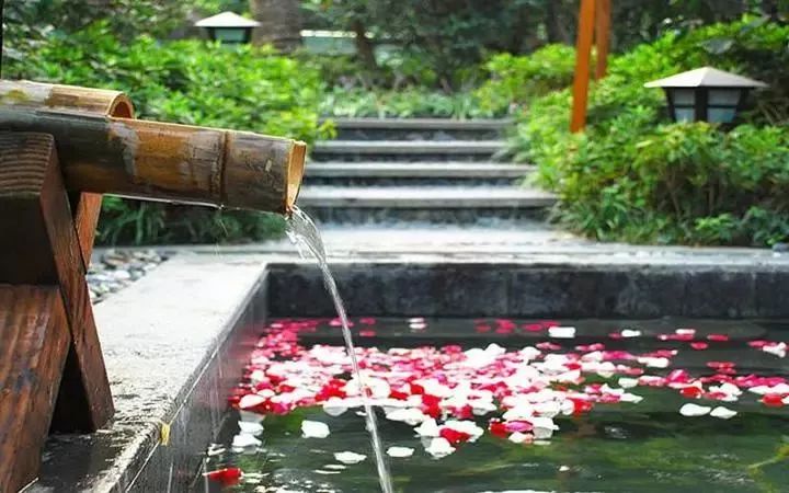 恐龙谷温泉的泡池种类非常多,包括酒池,茶池,花瓣