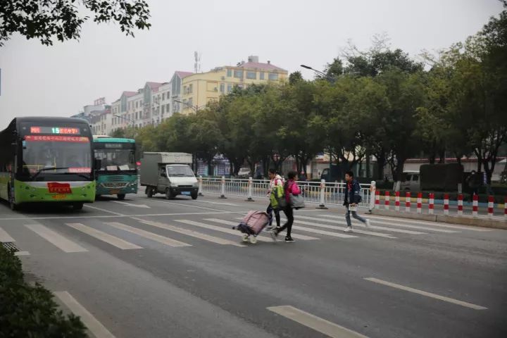 有奖征集 | 贵港街拍文明礼让:为这几位司机大佬