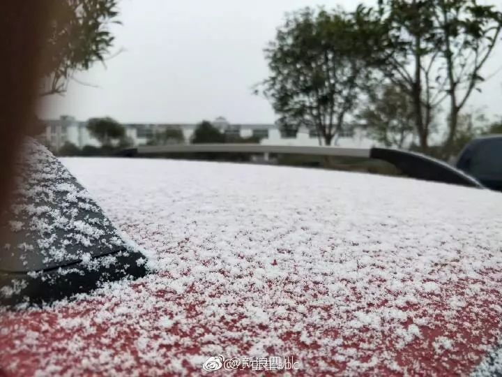 听说成都下雪了?我工具都准备好了，结果又出太阳了……