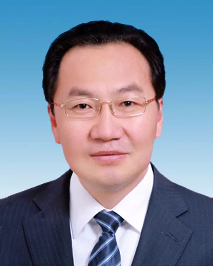 自治区政协第十二届委员会主席,副主席简历