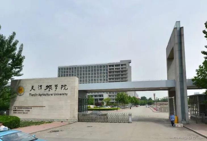 最新!天津高校综合实力重新排名!快给你的母校