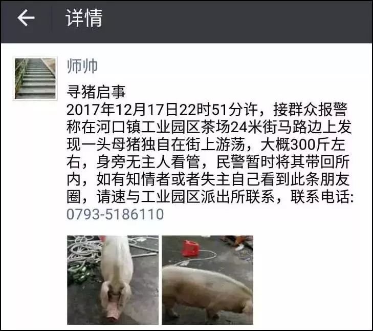 经过身份和信息确认,可以把猪领走之后,老许拉住值班民警的手连声 (三