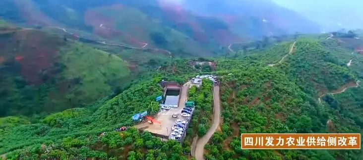 四川十大经济影响力人物评选启动！来为这些财经英雄打CALL！