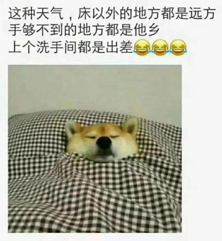 最低5℃!广州今年首个寒冷预警生效!极端强降