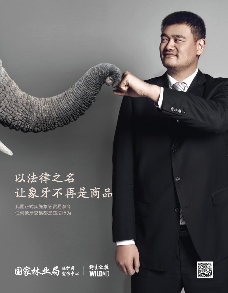 明天起,你再买卖这东西就是违法!2018年这些新