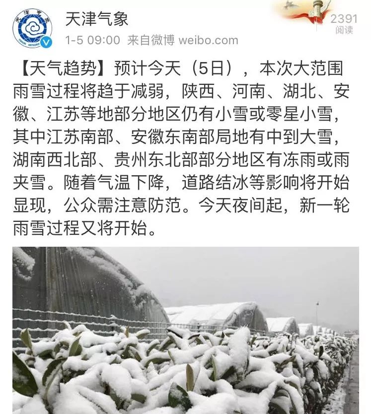 扎心!为什么全国都瞒着天津下雪?贫雪!竟把大