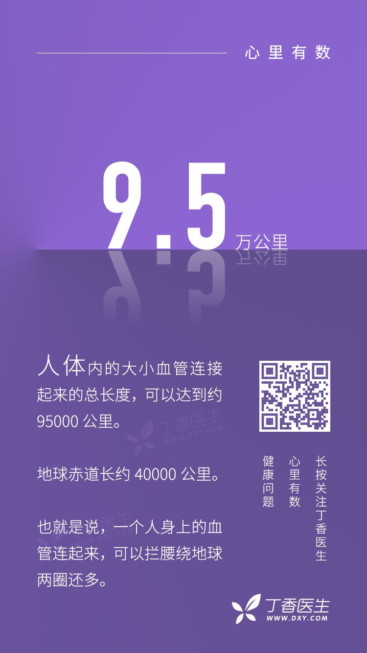 人的身上，什么东西最长？