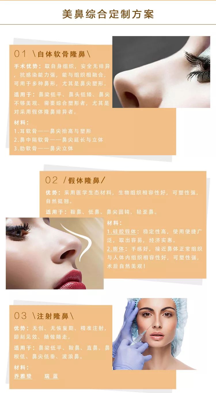 方案