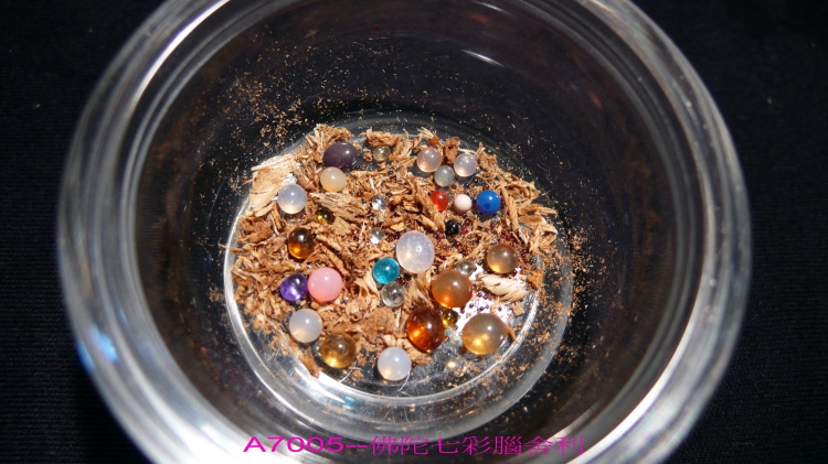 释迦牟尼佛真身舍利，瞻礼获福无量!转发功德无量!