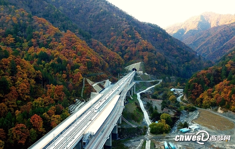 11月2日，一列动车组试验列车驶过秦岭深处的西成高铁新场街站。（唐振江 摄）