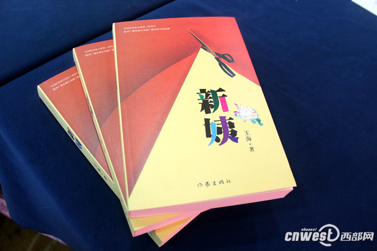 文坛名家热议长篇小说《新姨》 2017文学陕军