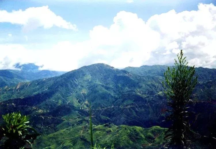 最新!3月起,南京46家景点免费开放日陆续到来!快收藏!