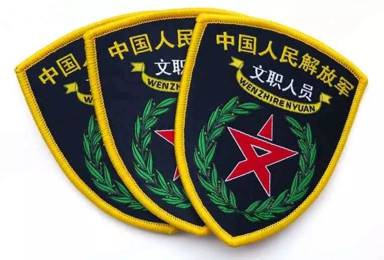 军报谈如何拓宽文职人员引进渠道|留学|招聘|毕