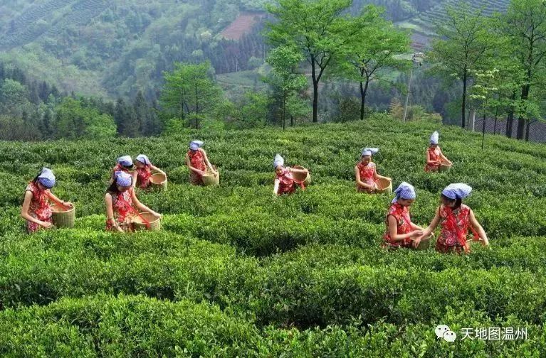一张吃货必备的温州美食地图,让你横扫家门口