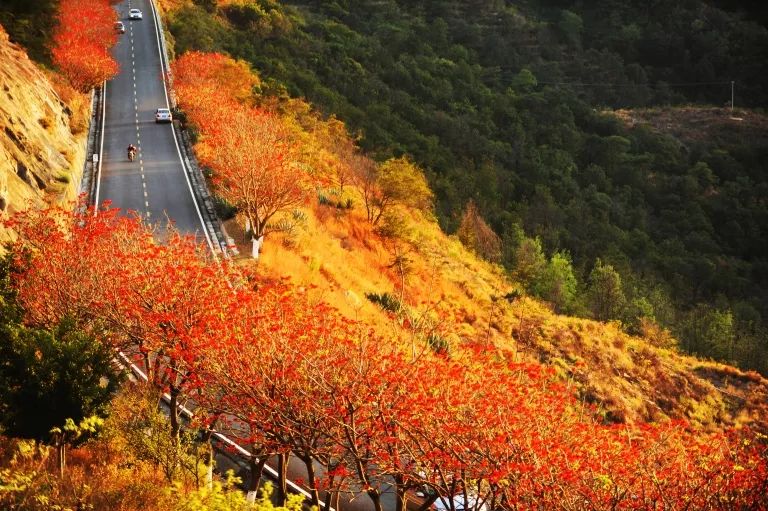 四川这个城市人均GDP全省最高!不是成都