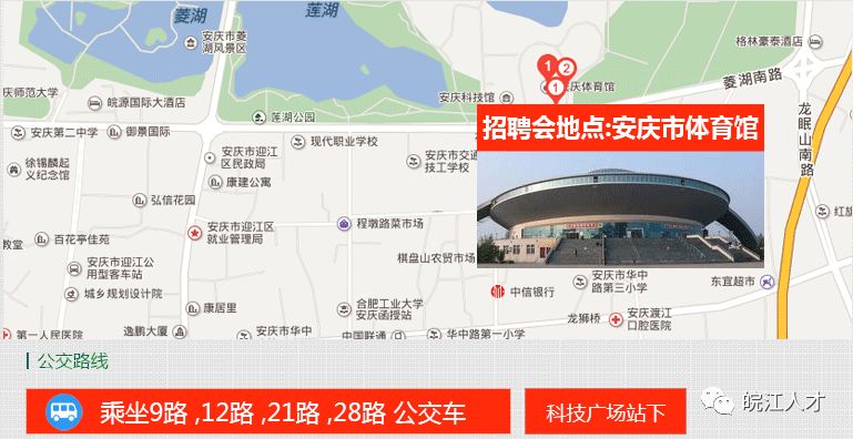 2月24日(正月初九)安庆体育馆 大型招聘会|