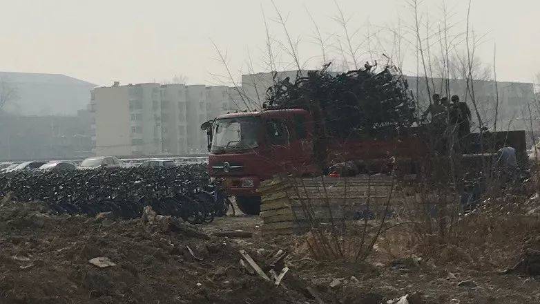 ofo和摩拜们的春天战事：不烧钱了，要挣钱