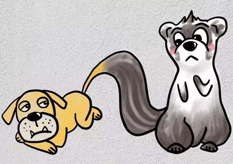 狗年说狗!看图猜成语,猜对一半正常,全部猜对了