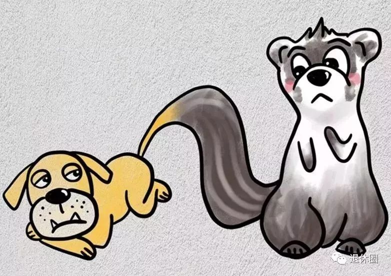6个关于狗狗的成语,全部猜对了不起!最后一个难倒99%的人