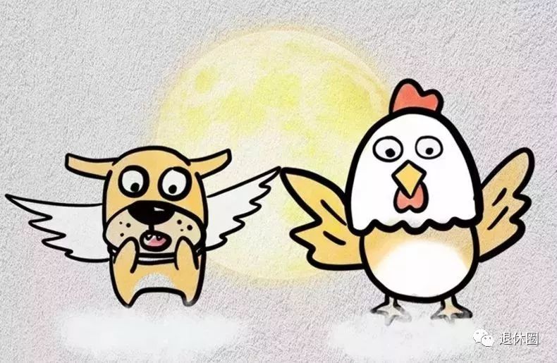 6个关于狗狗的成语,全部猜对了不起!最后一个难倒99%的人