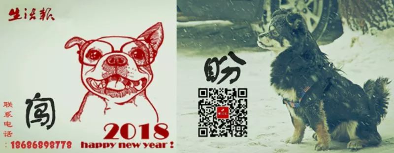 交26000去旅游,人没走成,只退9000