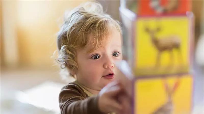 都是套路!部分早教机构生意靠加盟、客源靠