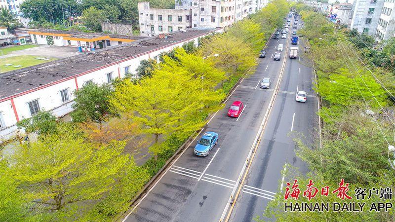 公路自行车手吕先景追风无惧