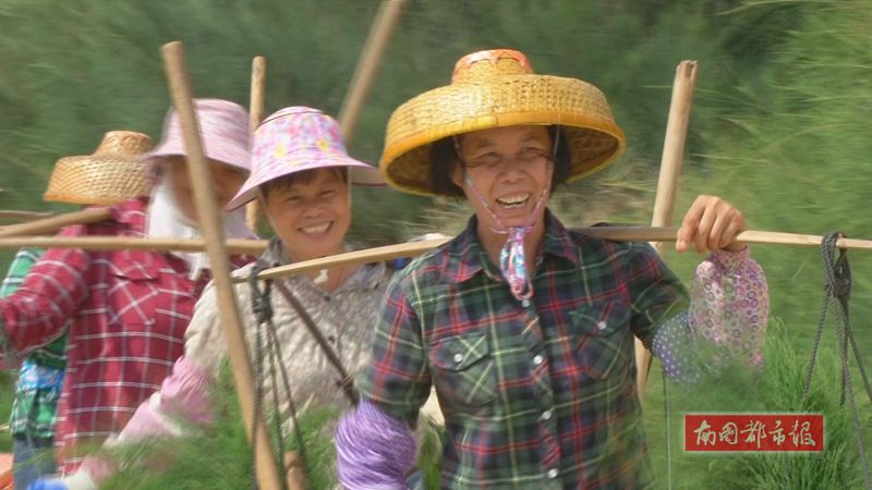 今天是什么日子?很多人相约去做这件事,然而昌