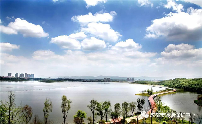 建四大森林城市群 四川大规模绿化全川再出新