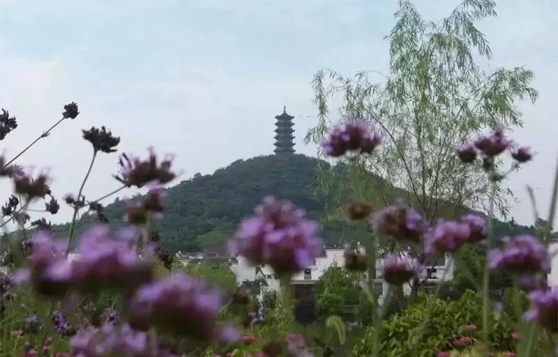 最新!3月起,南京46家景点免费开放日陆续到来!快收藏!