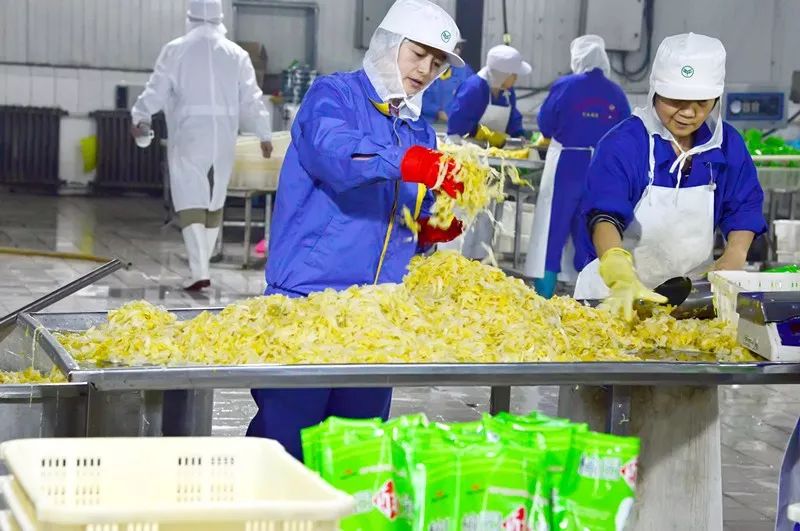 2017.12.02|退款电话说了啥?1个半小时被骗6万