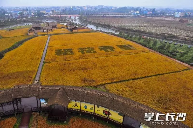 你好,宁乡市!宁乡今日正式撤县设市(现场图)|黄