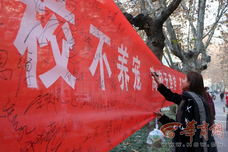 西安体院退休教师办影展 呼吁大学生关爱校园