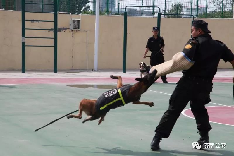 济南楼市将大变动!取消拆迁货币补偿奖励!推行