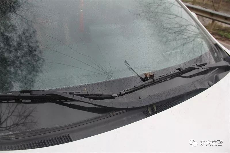 来宾男子冲冠一怒为红颜,怒怼甘蔗车|挡风玻