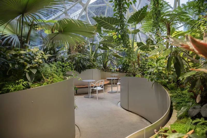 亚马逊实力“宠”员工，花40亿美元打造超美热带雨林办公室