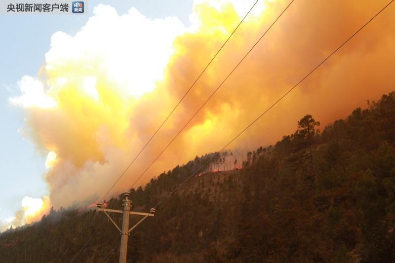 四川雅江森林火灾原因初步查明嫌疑人被控制 扑救人员和飞机仍在增援中