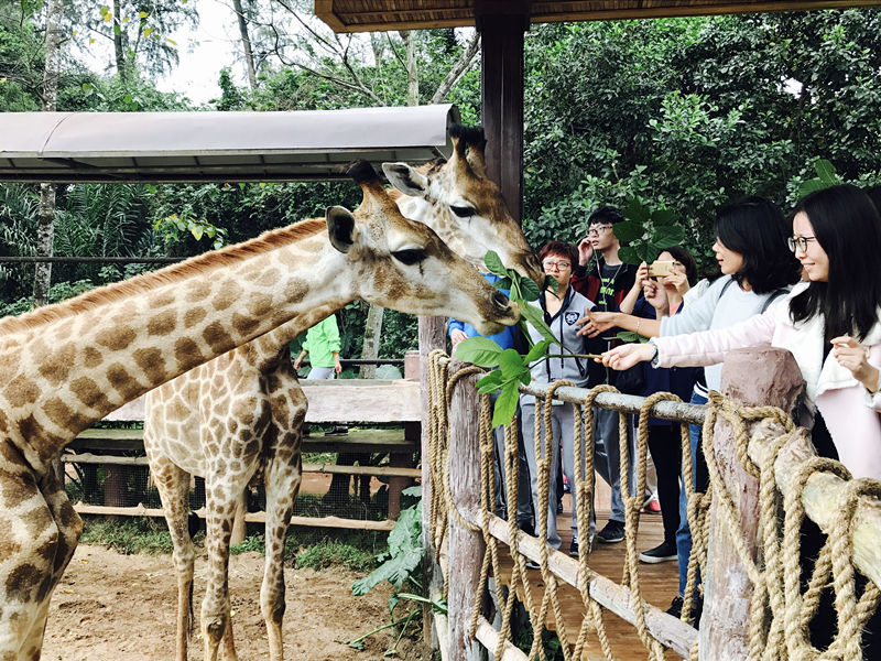 元旦小长假快结束了 海口这些人气爆棚的景点