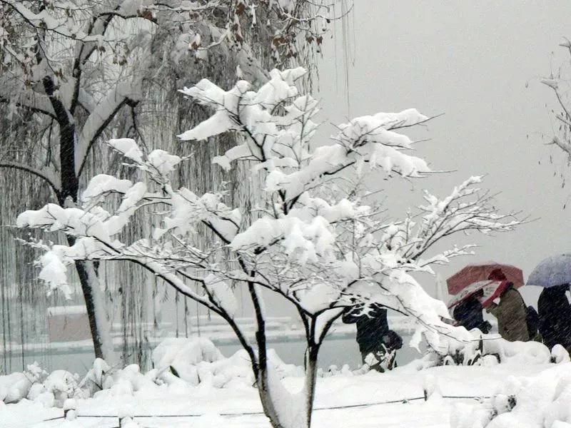 济南2018第一场雪,正在赶来的路上…|第一场雪