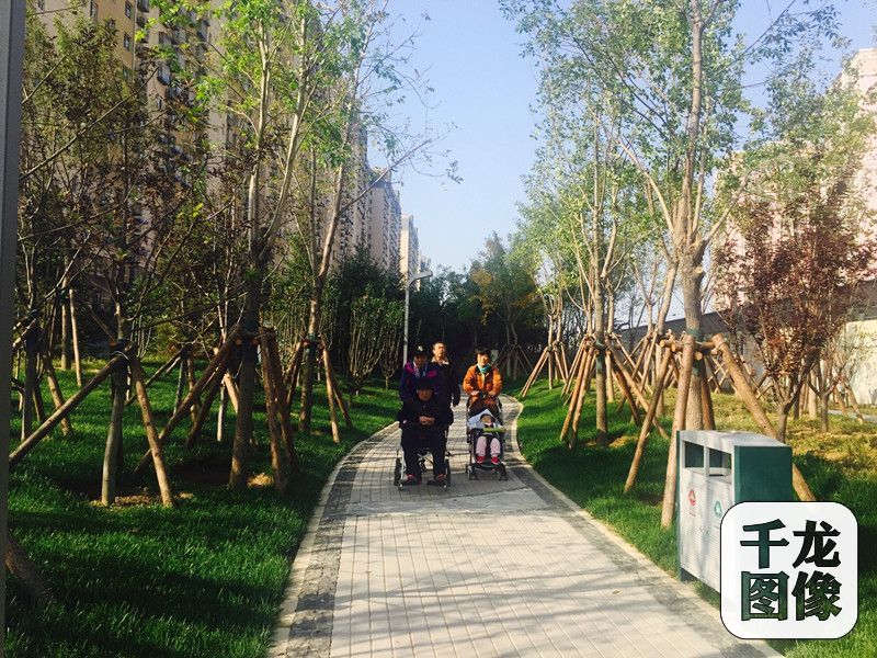 北京东城2018年将建多个城市森林公园|森林公