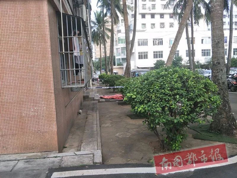 【突发】海口一中学教师宿舍楼发生跳楼事件