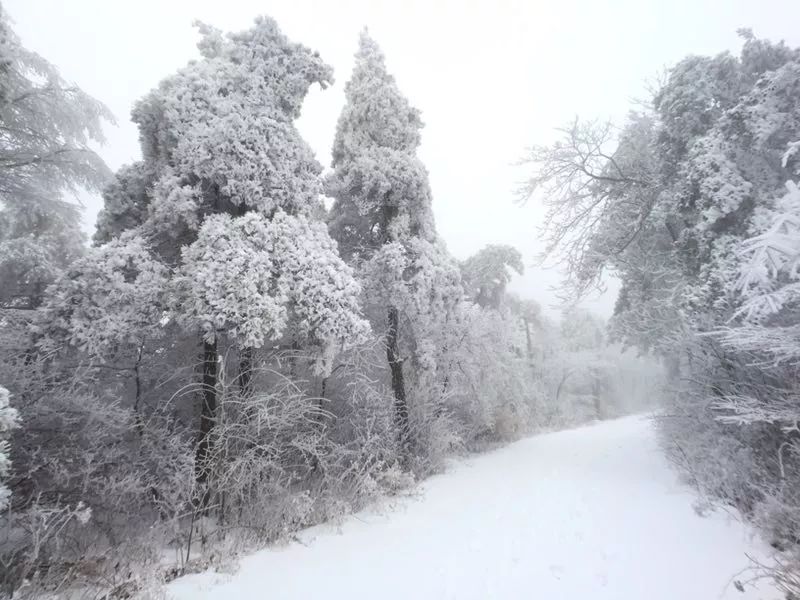 等啊等,宁波市区的雪还会下吗?最新天气预报来