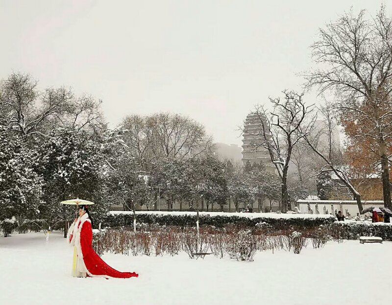 告别雪纷纷,迎来大降温…明天西安的气温竟然
