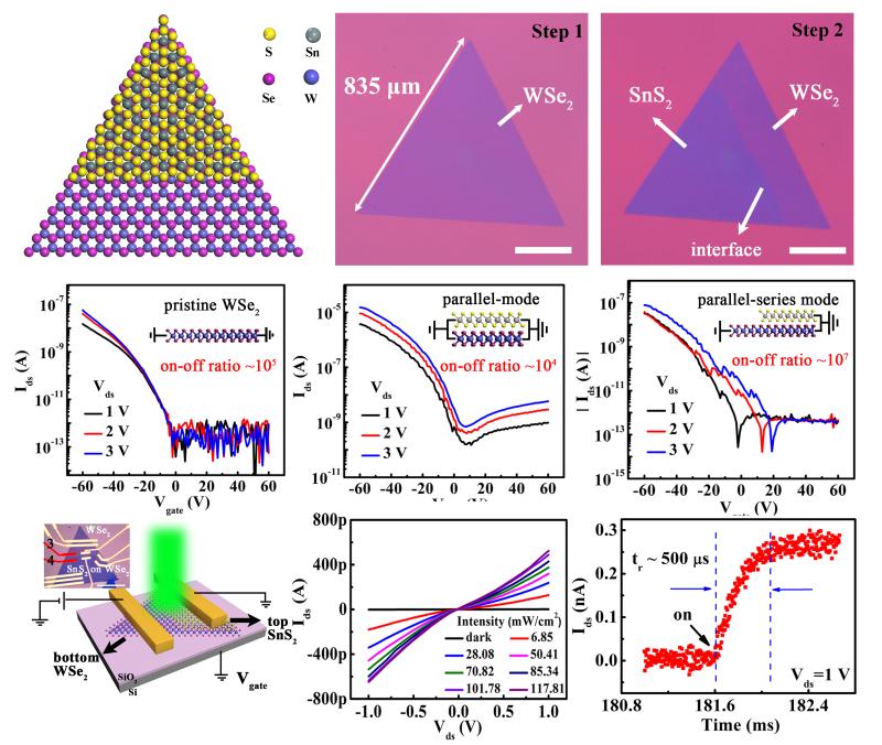 发文:首次实现二维原子晶体双层垂直pn结大面